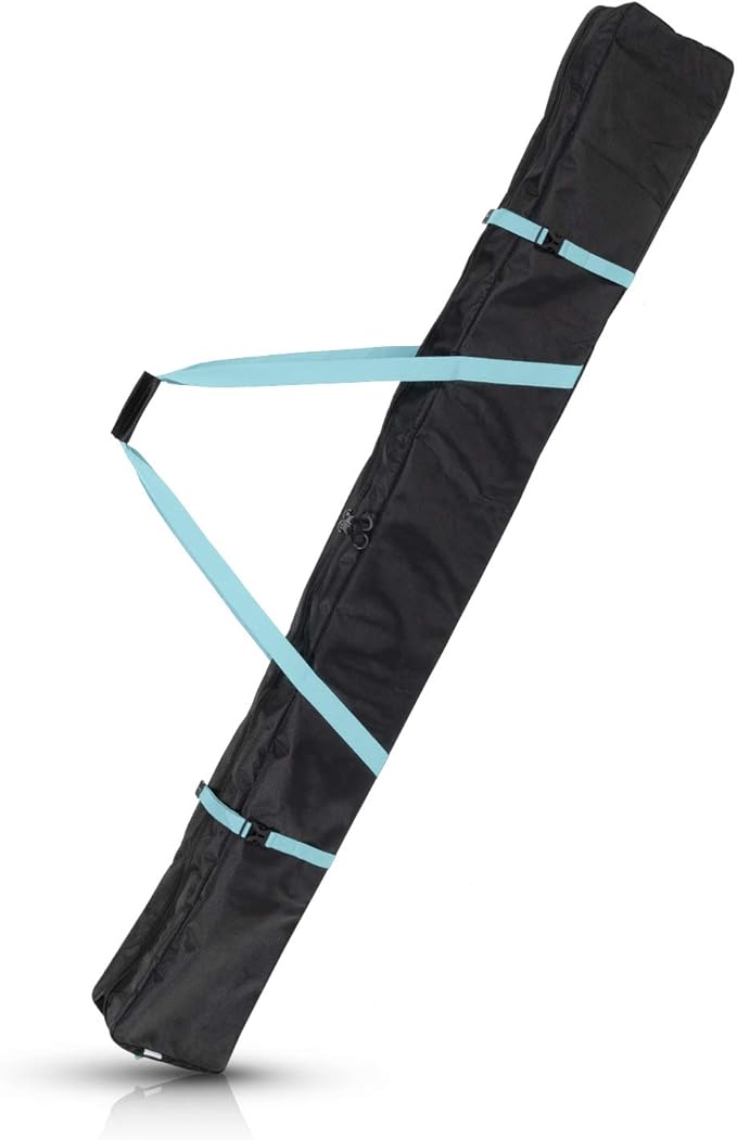 Ski Bag